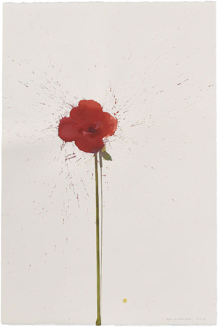 Vesper 337 1 main image