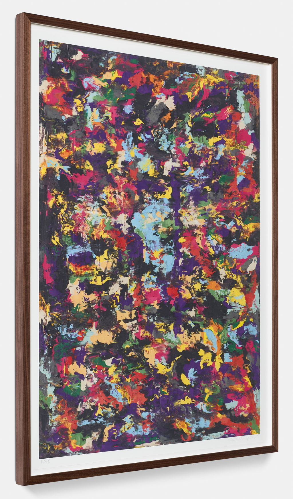 Proteus VI image #5