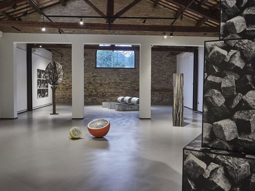 Images in space: Nataly Maier at Fondazione Sabe per l’arte, Ravenna