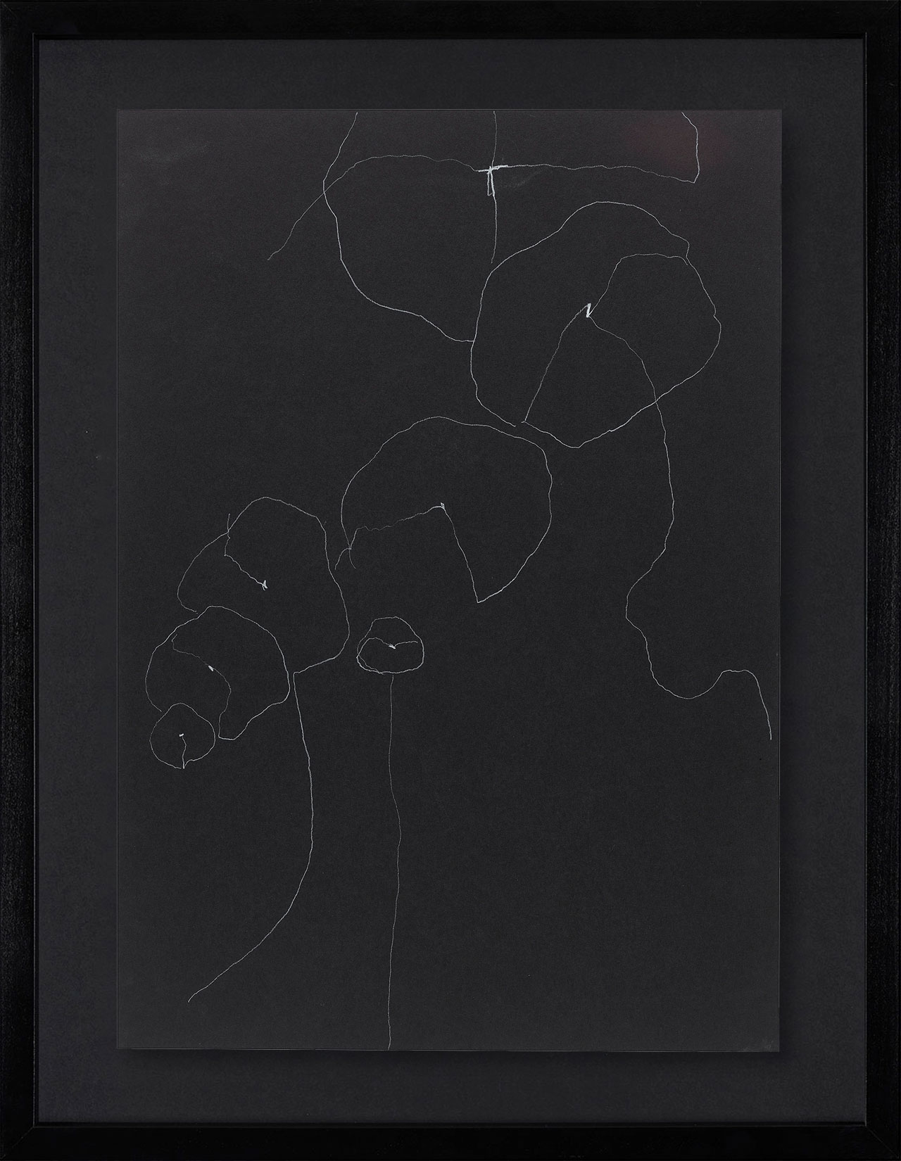 Peel Cottage Garden  1 main image