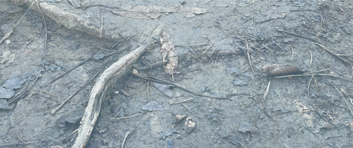 prelude for a press at palace enterprise (DK) in Copenhagen