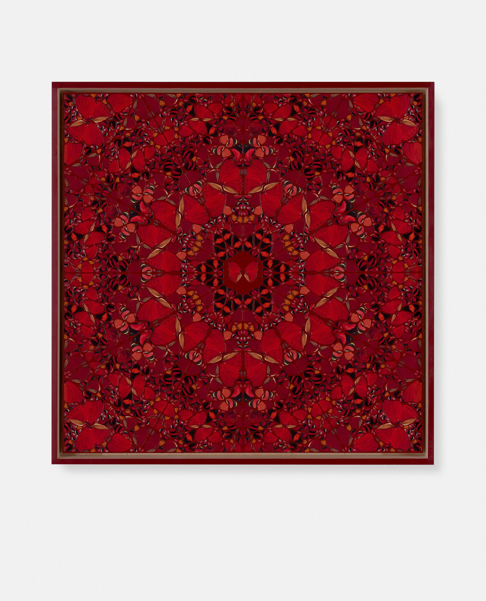 Jingū / Cunigunde / Messalina / Kōgyoku / Amelie 2