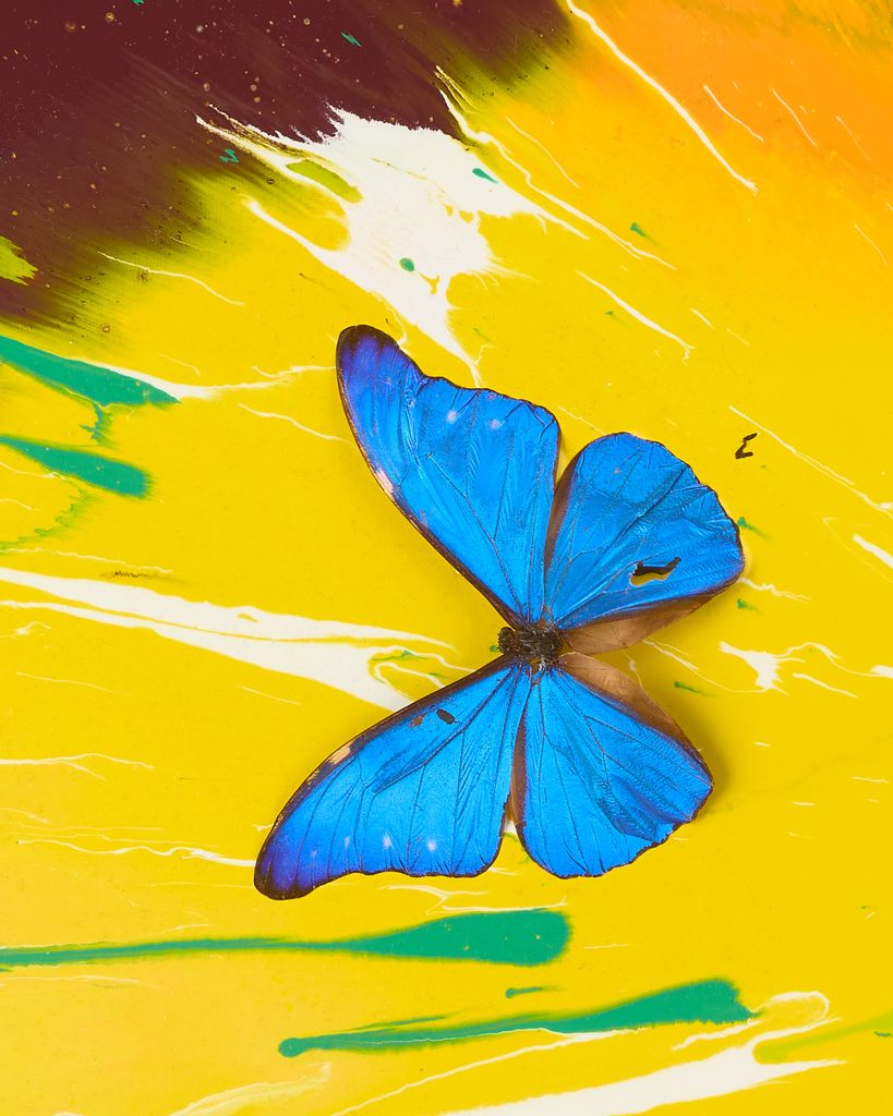 Beautiful New Dawn Painting (with Butterflies) 3