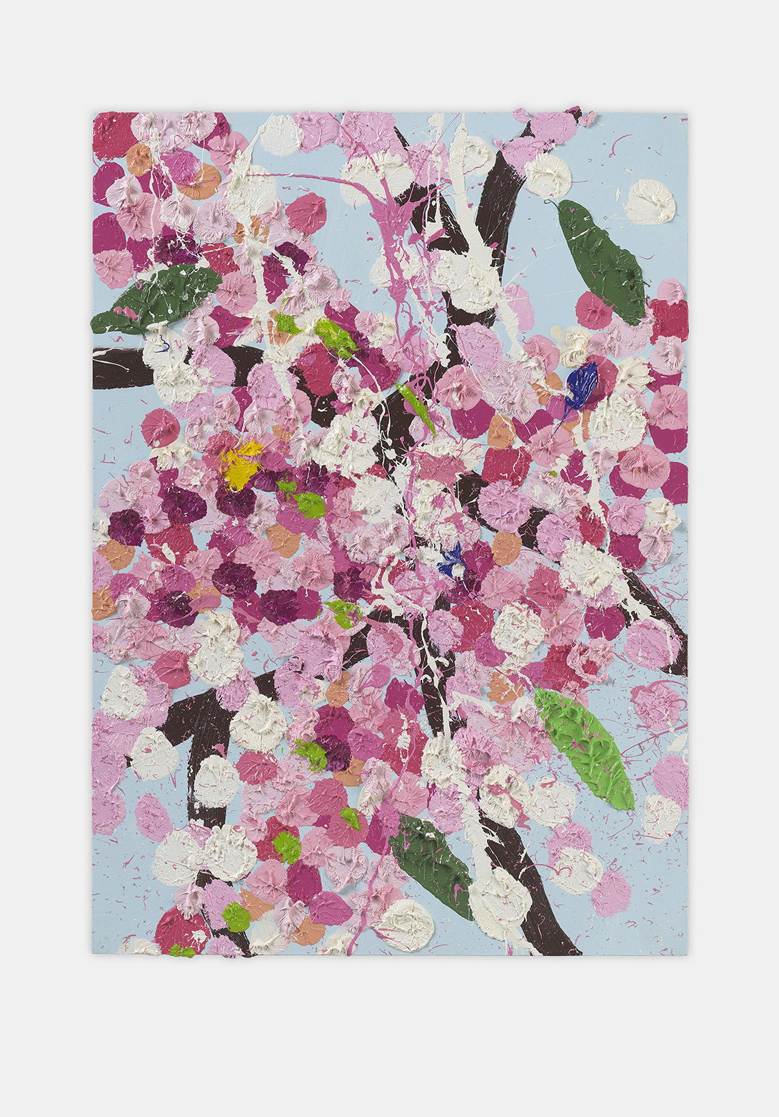 Carefree Blossom 1 main image