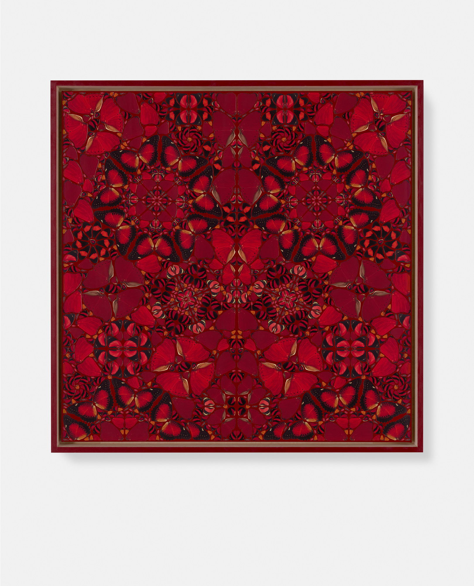 Jingū / Cunigunde / Messalina / Kōgyoku / Amelie 5