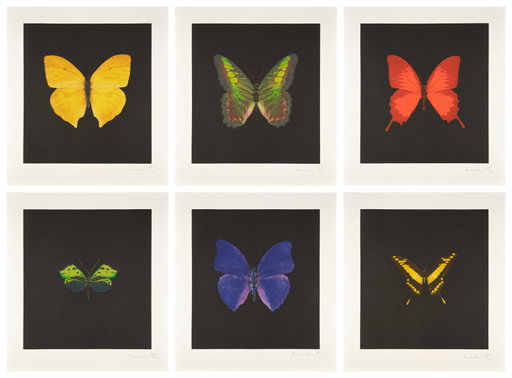 Damien Hirst Work Heads to Auction