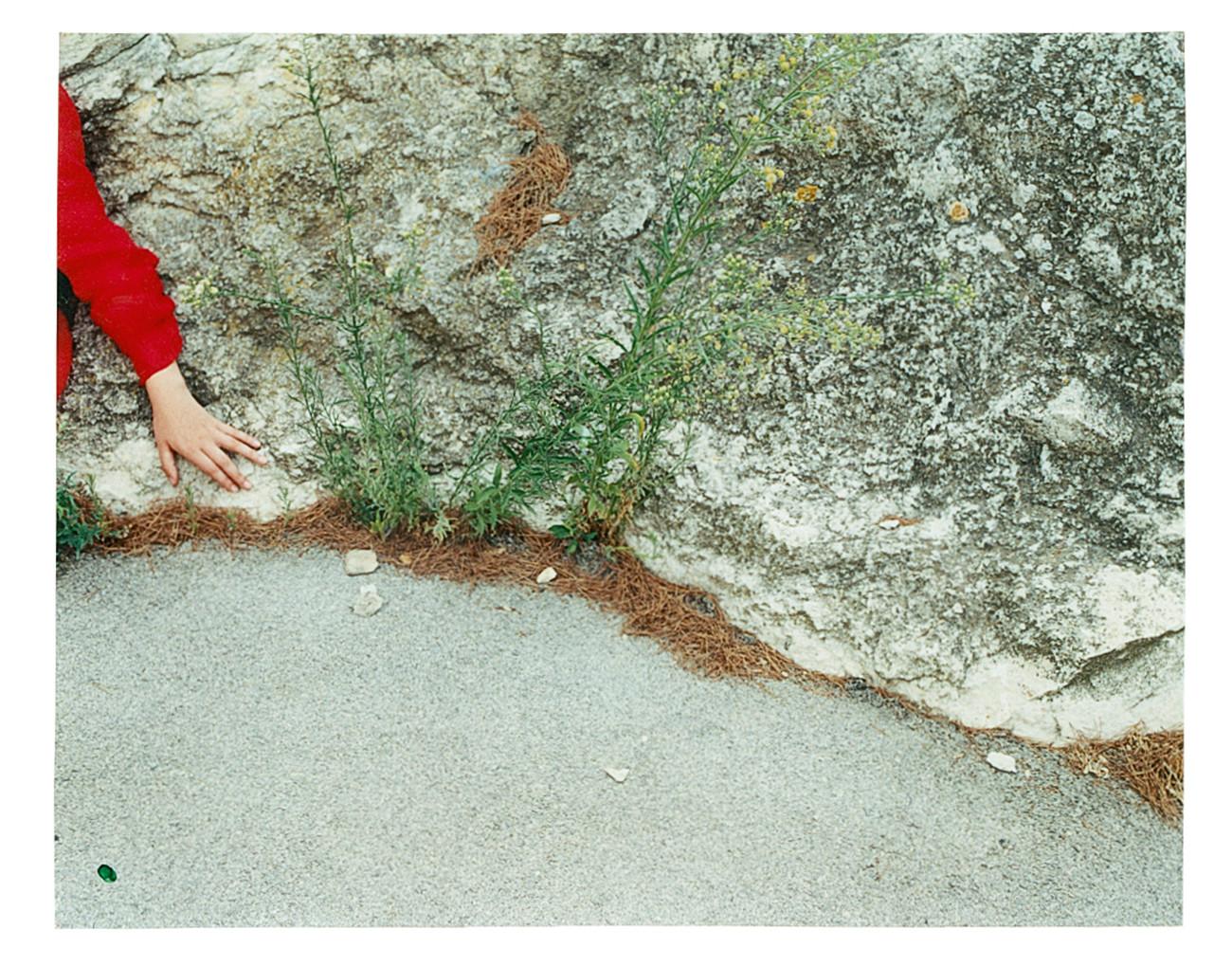 Kate Barry | HENI News Profile