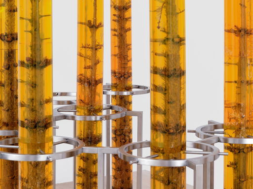 Jura Shust at Management, New York