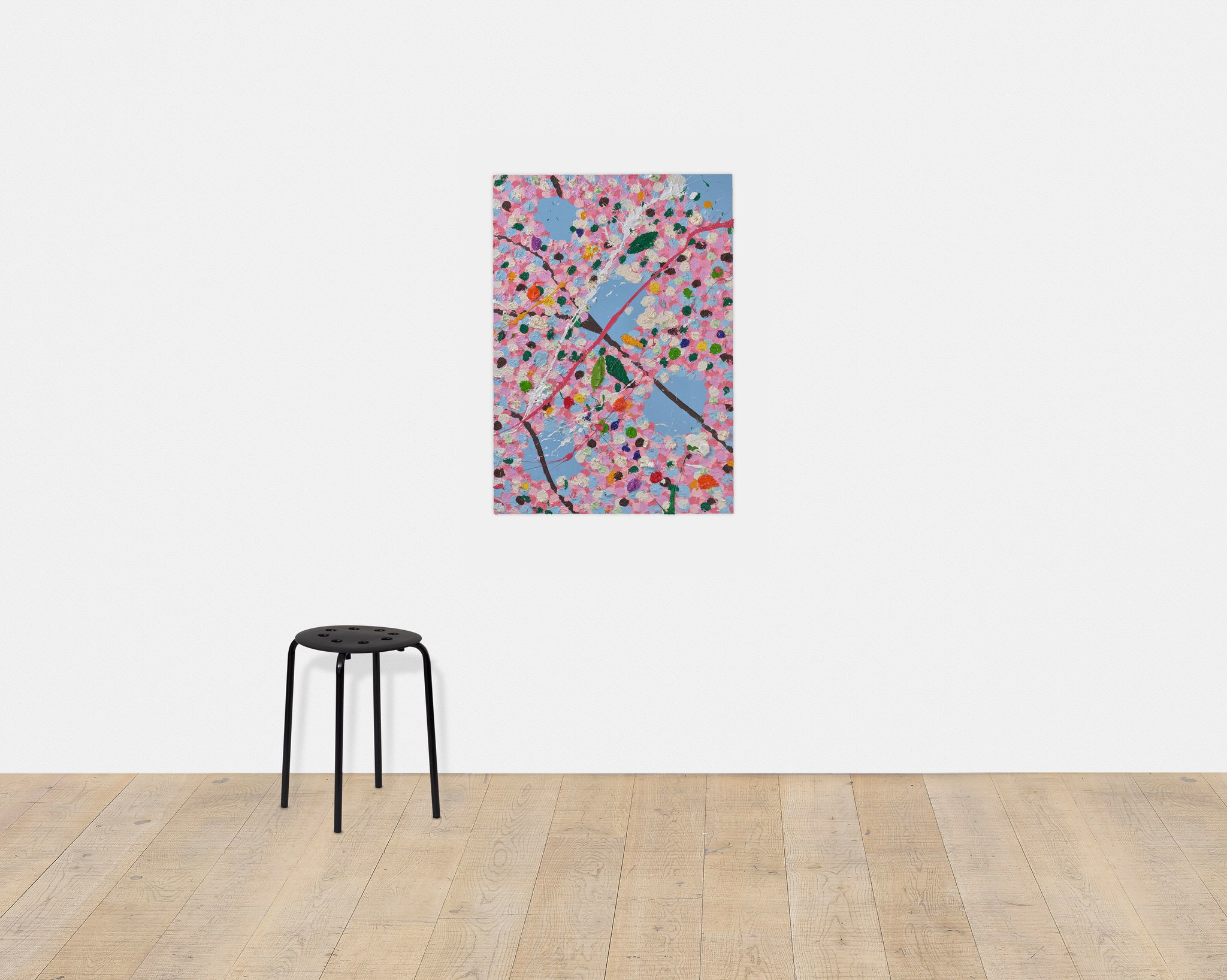 Sweet-pea Blossom scale image