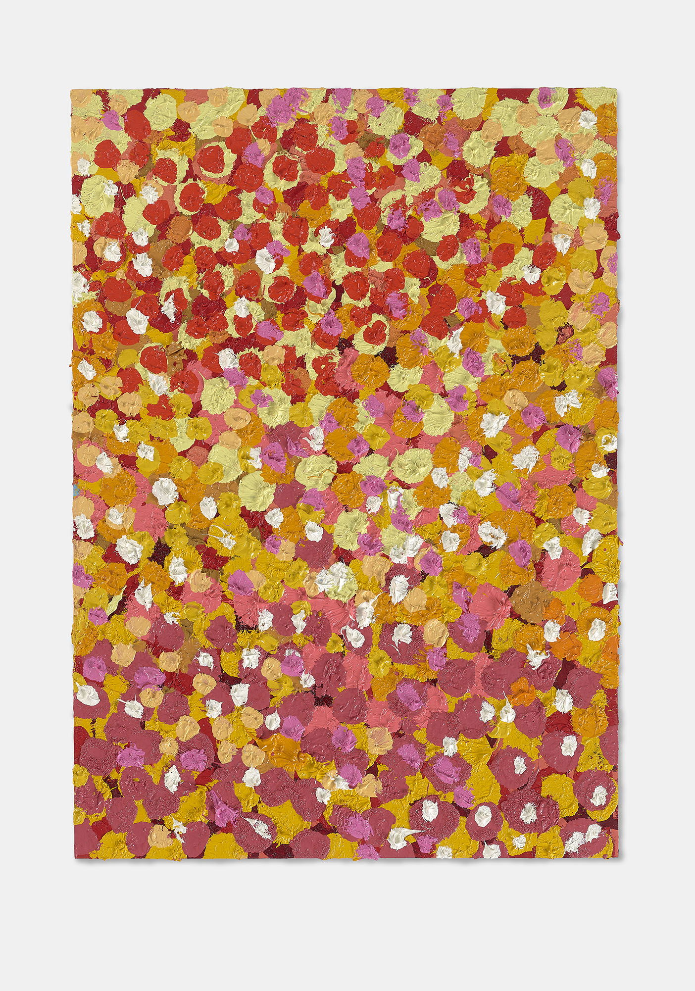 Regal Veil  1 main image