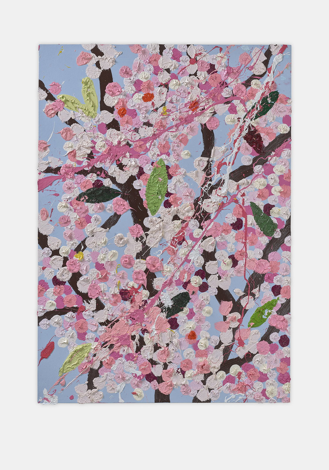 Excited Blossom 1 main image