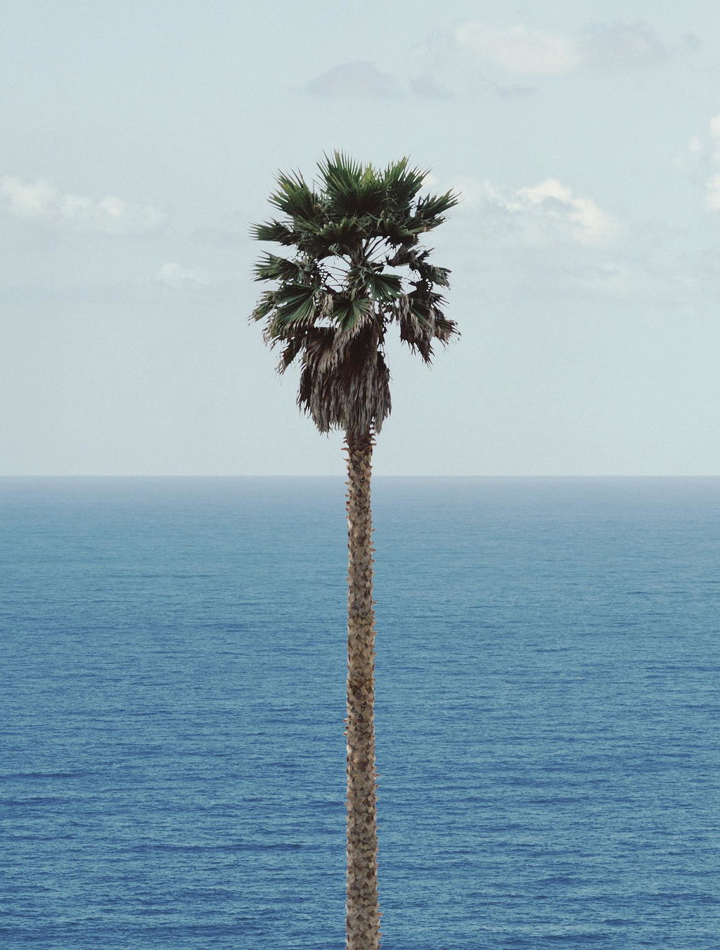 John Baldessari, Palm Tree/Seascape, 2010. Courtesy Estate of John Baldessari