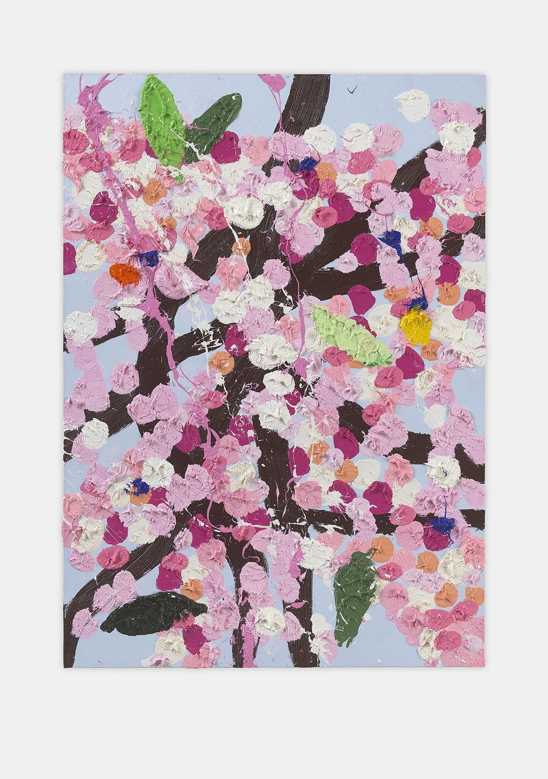 Honouring Blossom 1 main image