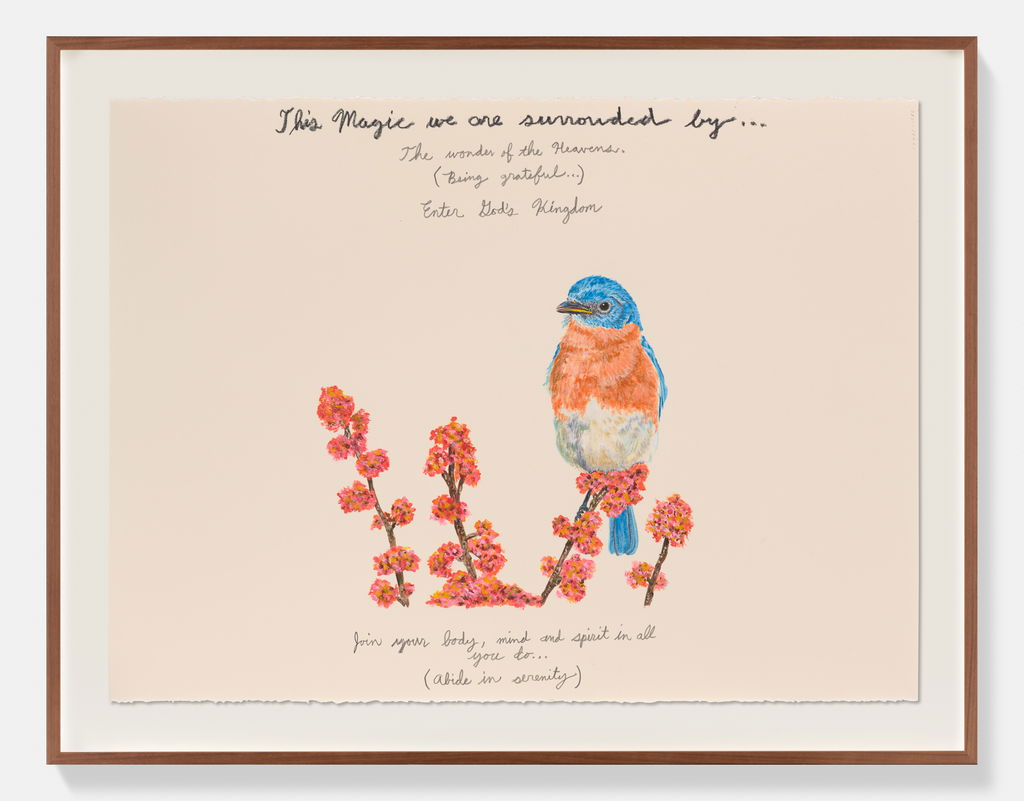 This magic we are surrounded by … 1 main image