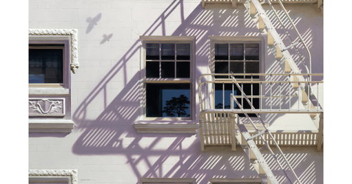 Lynette Cook's Illumination Selected for Sotheby's New York Exhibition