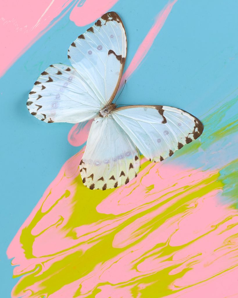 Beautiful For Today We Have Joy Painting (with Butterflies) 3