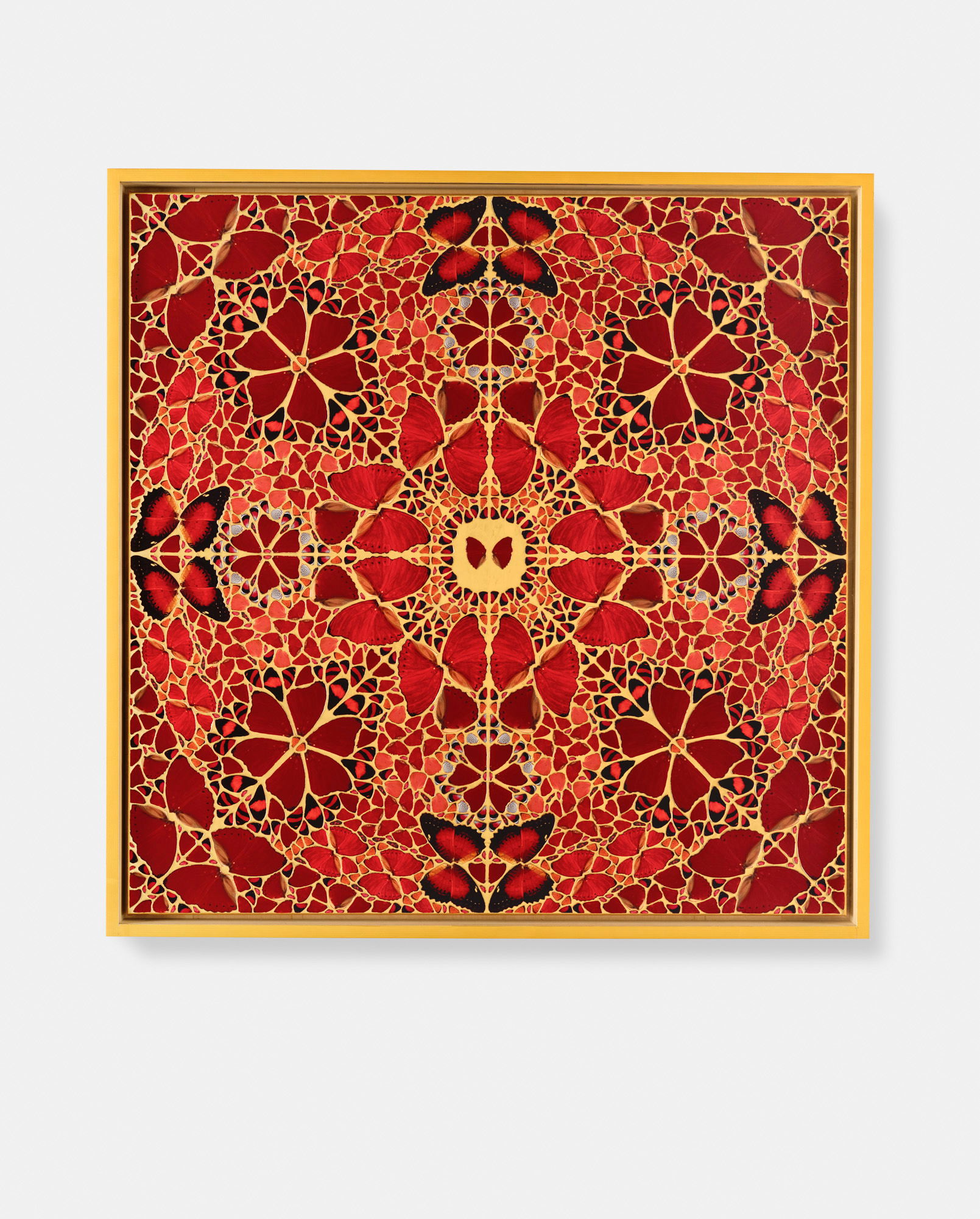 Tarabai / Galla Placidia / Adelaide / Xiaoxu / Pulcheria 6