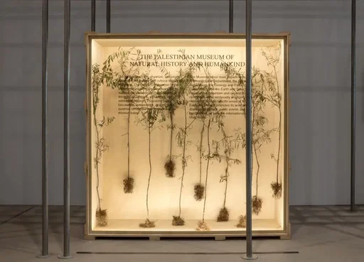 In Turin, archaeology and contemporary art tell the historical and cultural depth of Gaza