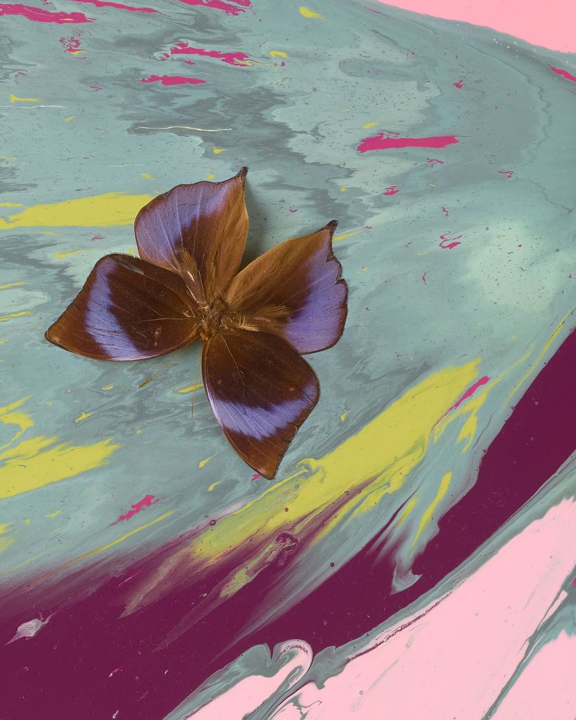 Beautiful Affection in all Directions Painting (with Butterflies) 3