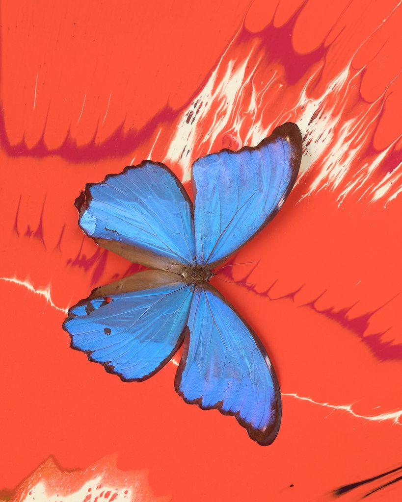 Beautiful Twin Flame Painting (with Butterflies) 3