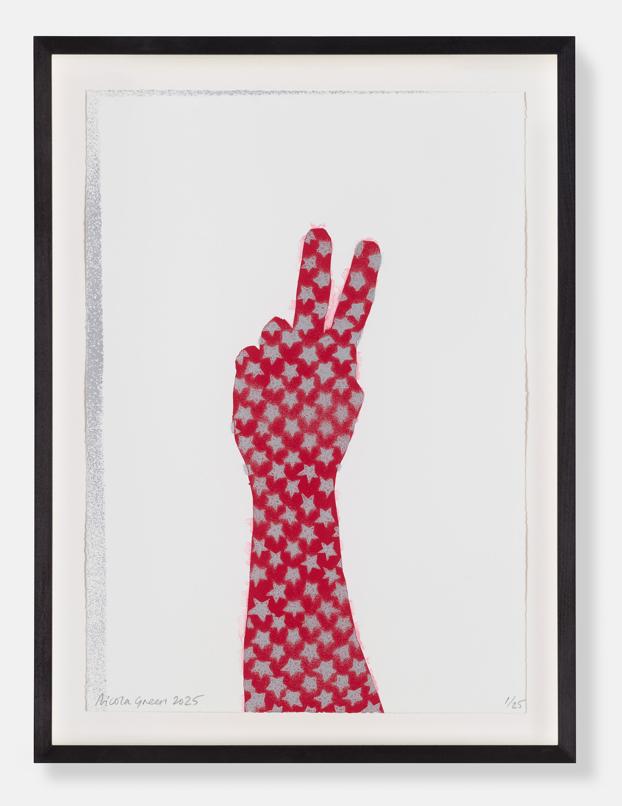 Stars and Stripes V image #1 main image