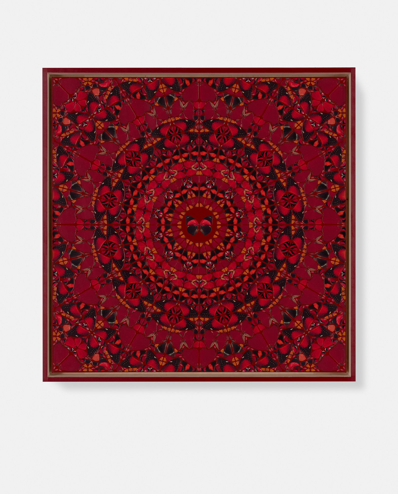 Jingū / Cunigunde / Messalina / Kōgyoku / Amelie 3