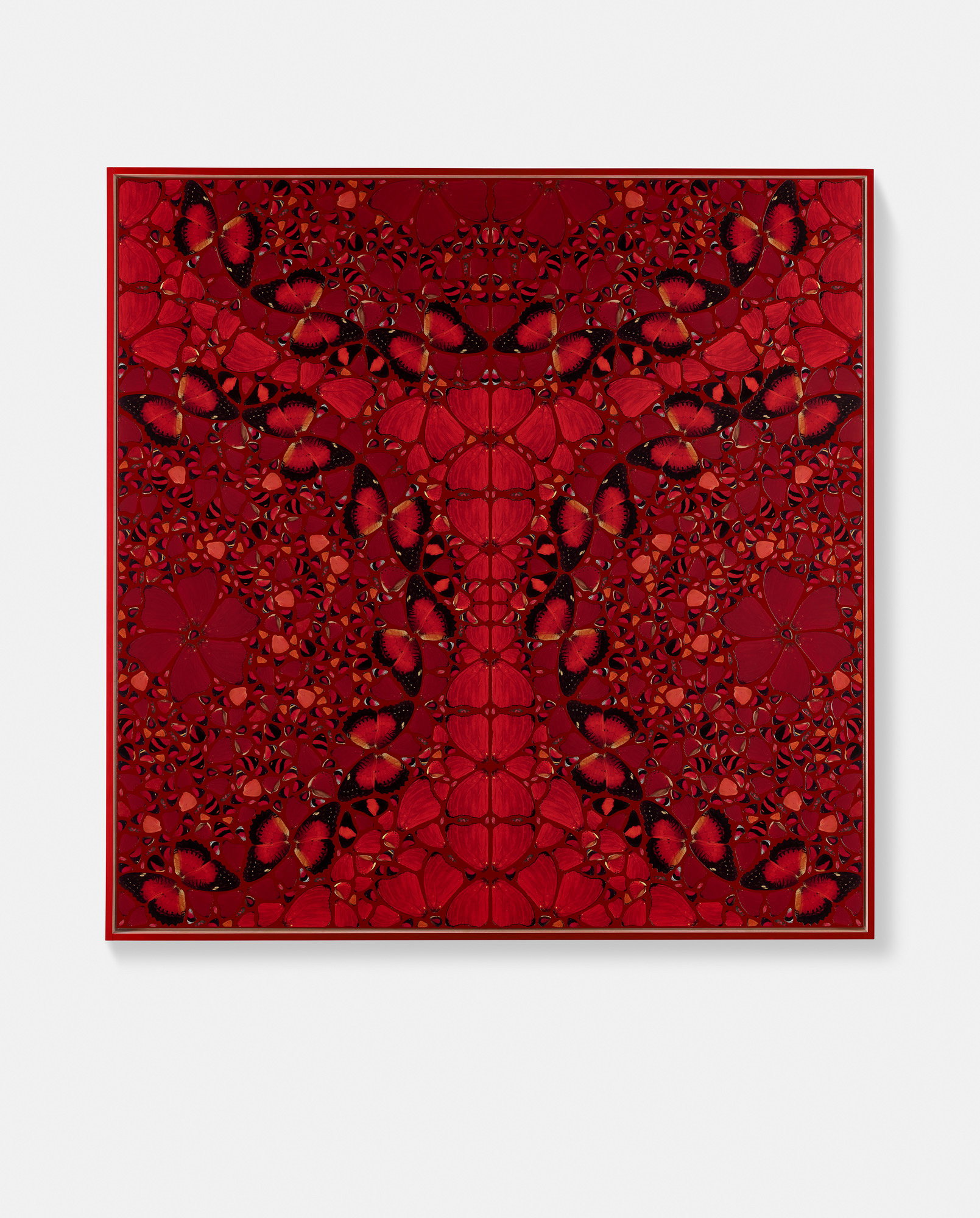 Melisende 1 main image