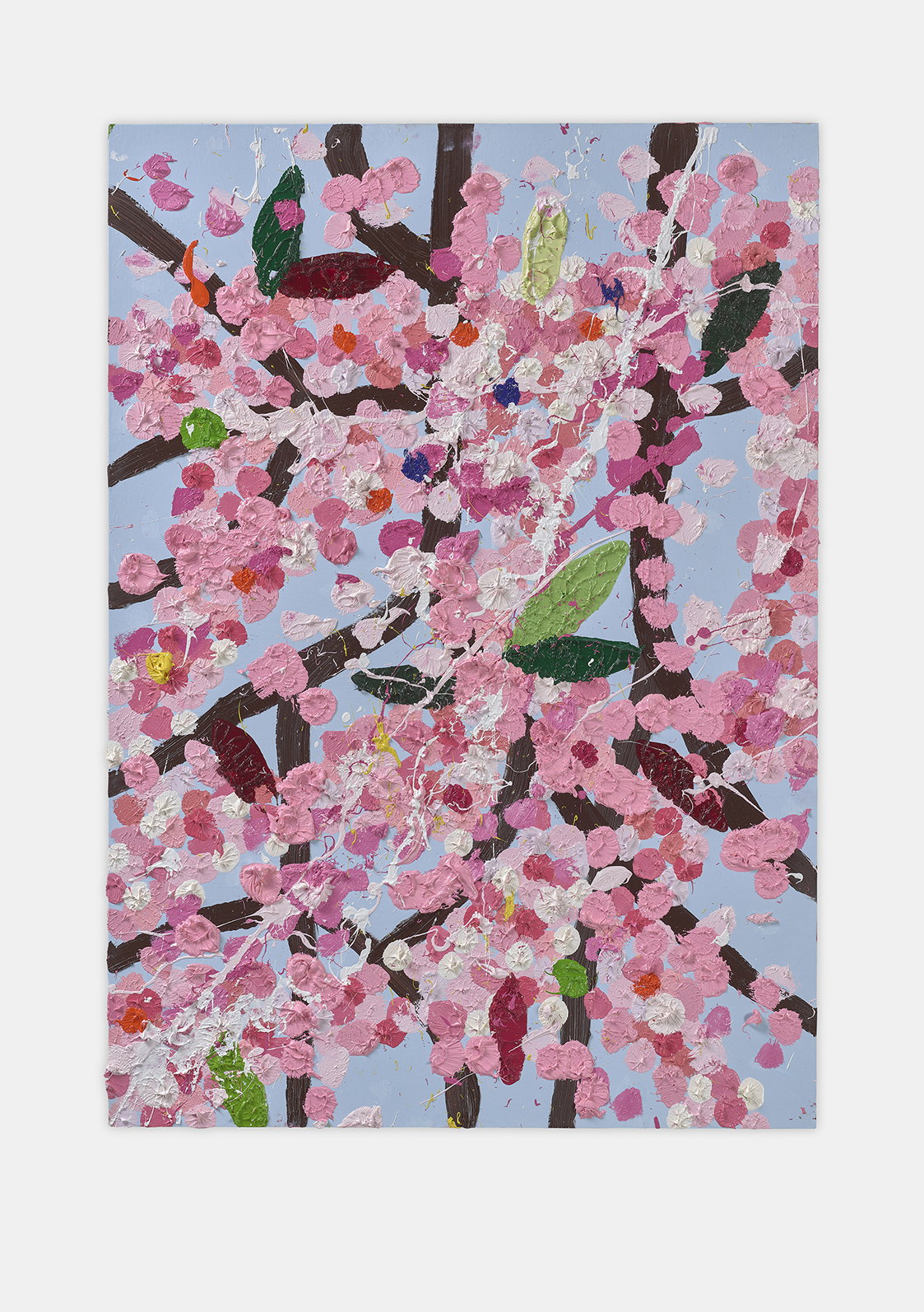 Mesmerising Blossom 1 main image