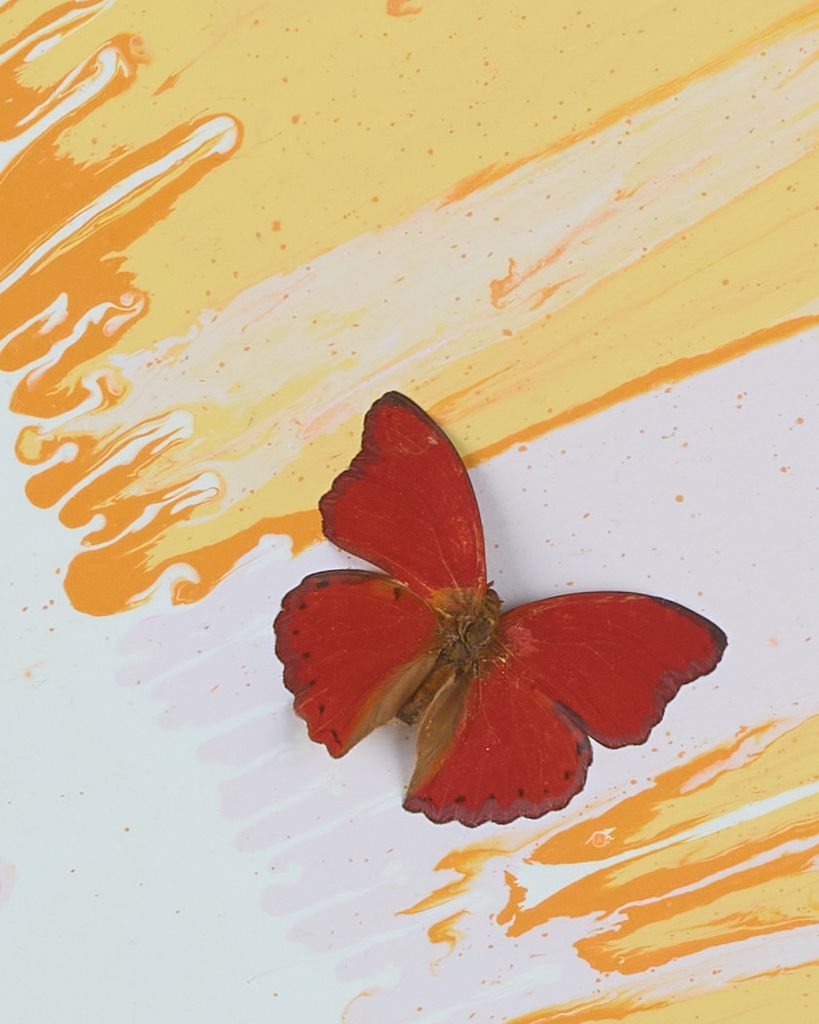 Beautiful Sky in Your Eyes Painting (with Butterflies) 3