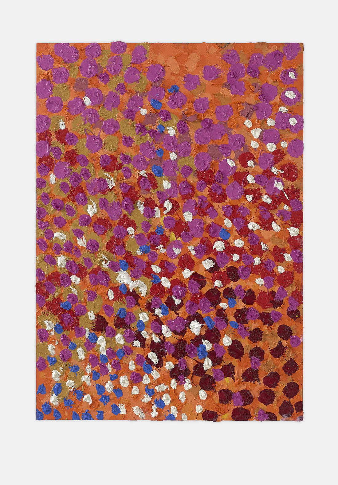 Genial Veil 1 main image