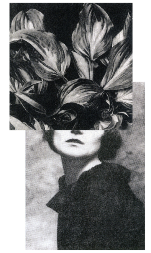 Ronit Porat: How Come A Butterfly Flies at Sommer Contemporary Art in Zurich