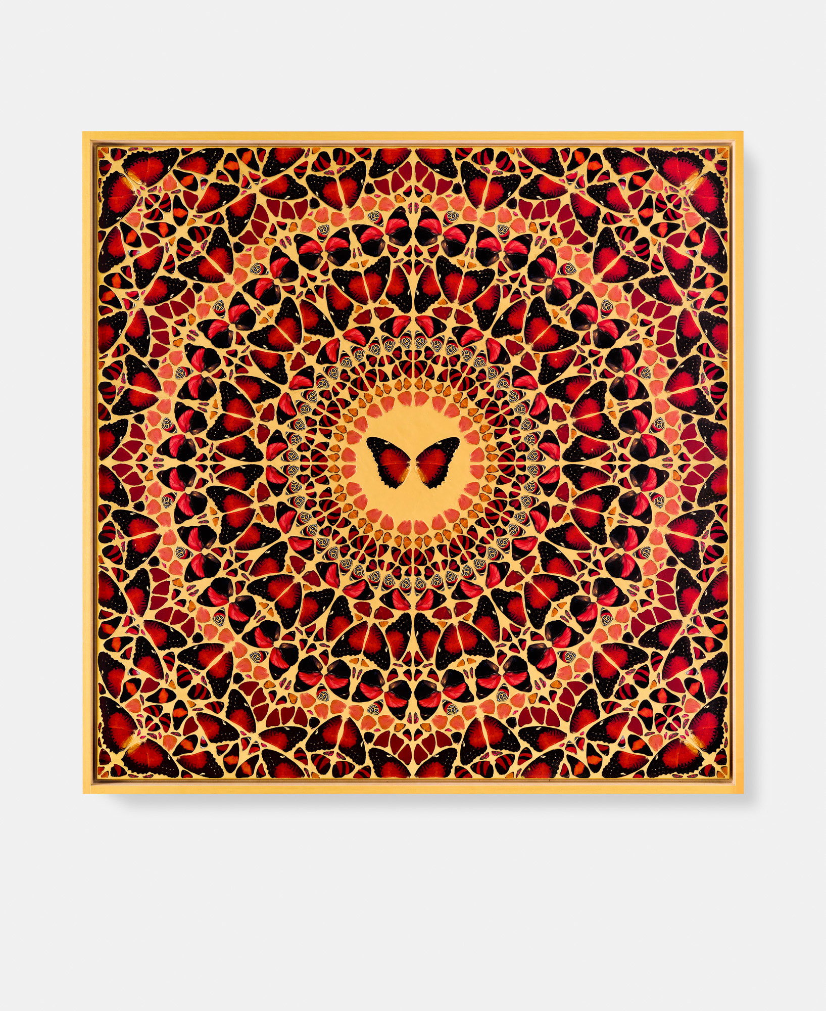 Maria Theresa / Josephine / Agrippina / Babusha / Pompeia Plotina 2