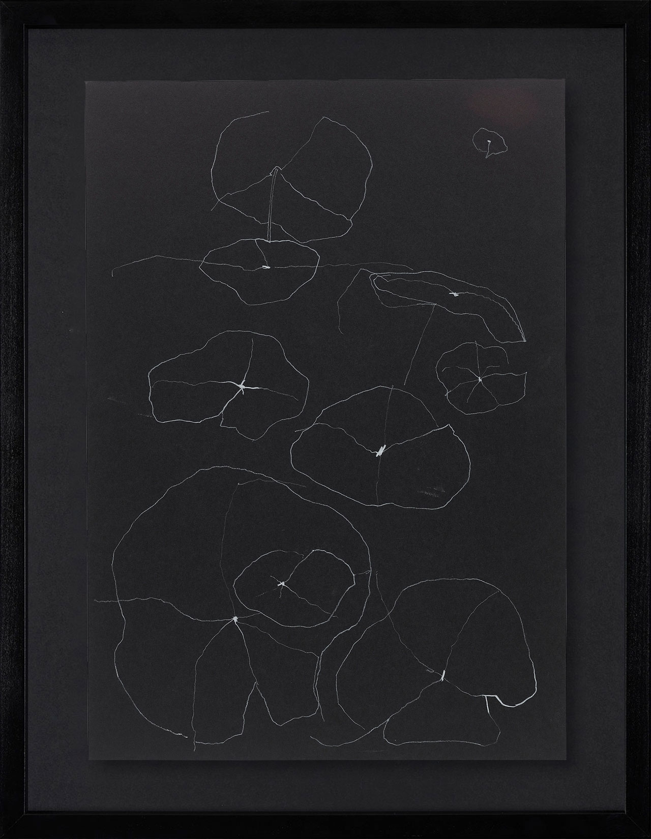 Peel Cottage Garden  1 main image