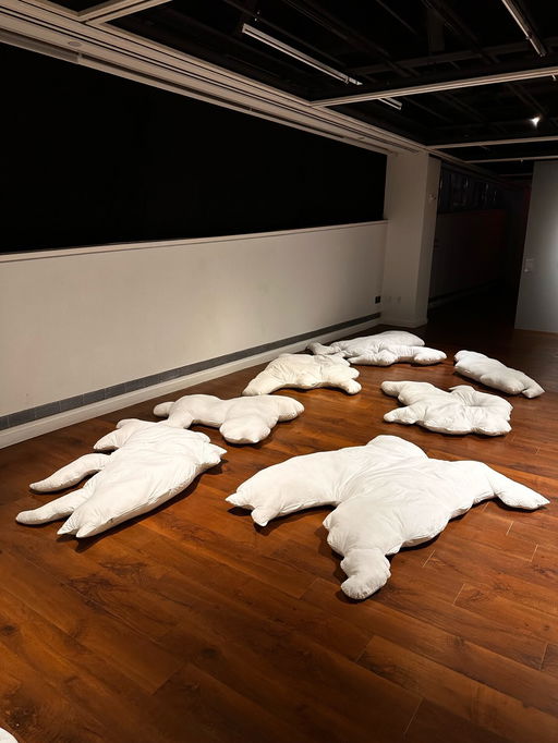 How to Show the Disappeared