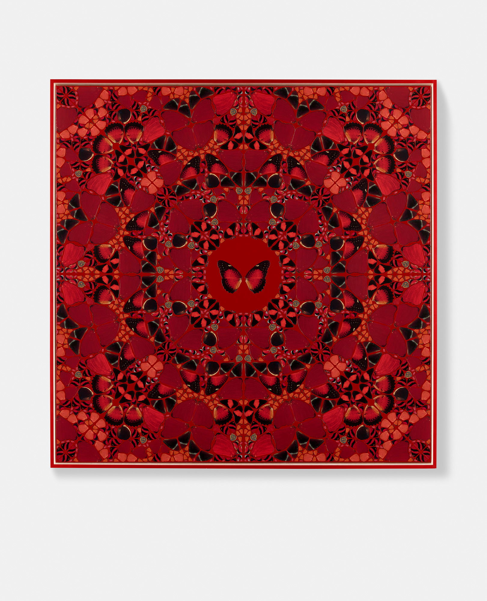 Medferiashwork Abebe 1 main image