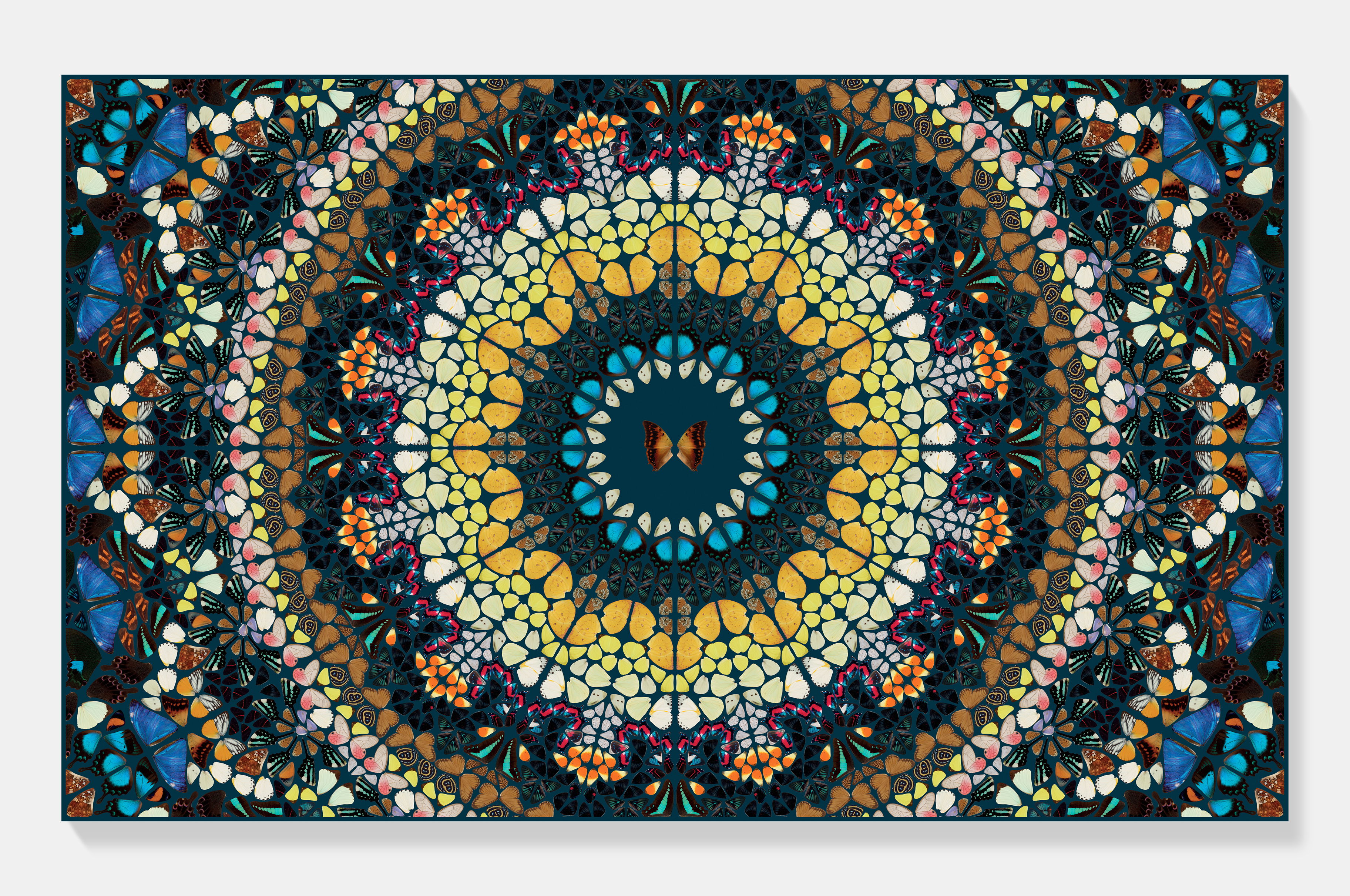 アート・デザイン・音楽 Damien Hirst 240: DAMIEN HIRST, Butterfly Spin Painting < 20|21 Art, 26
