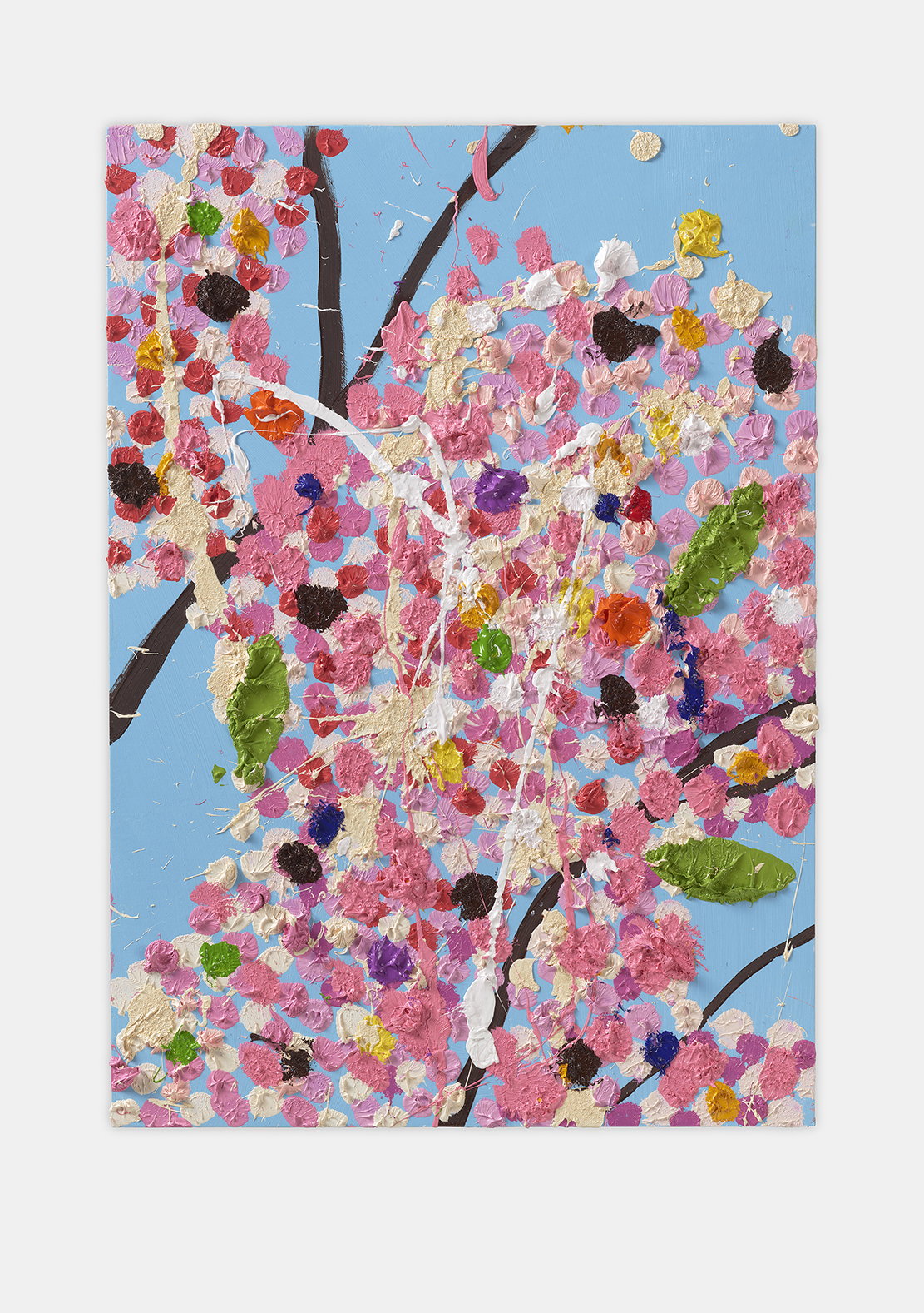 Celebration Blossom 1 main image