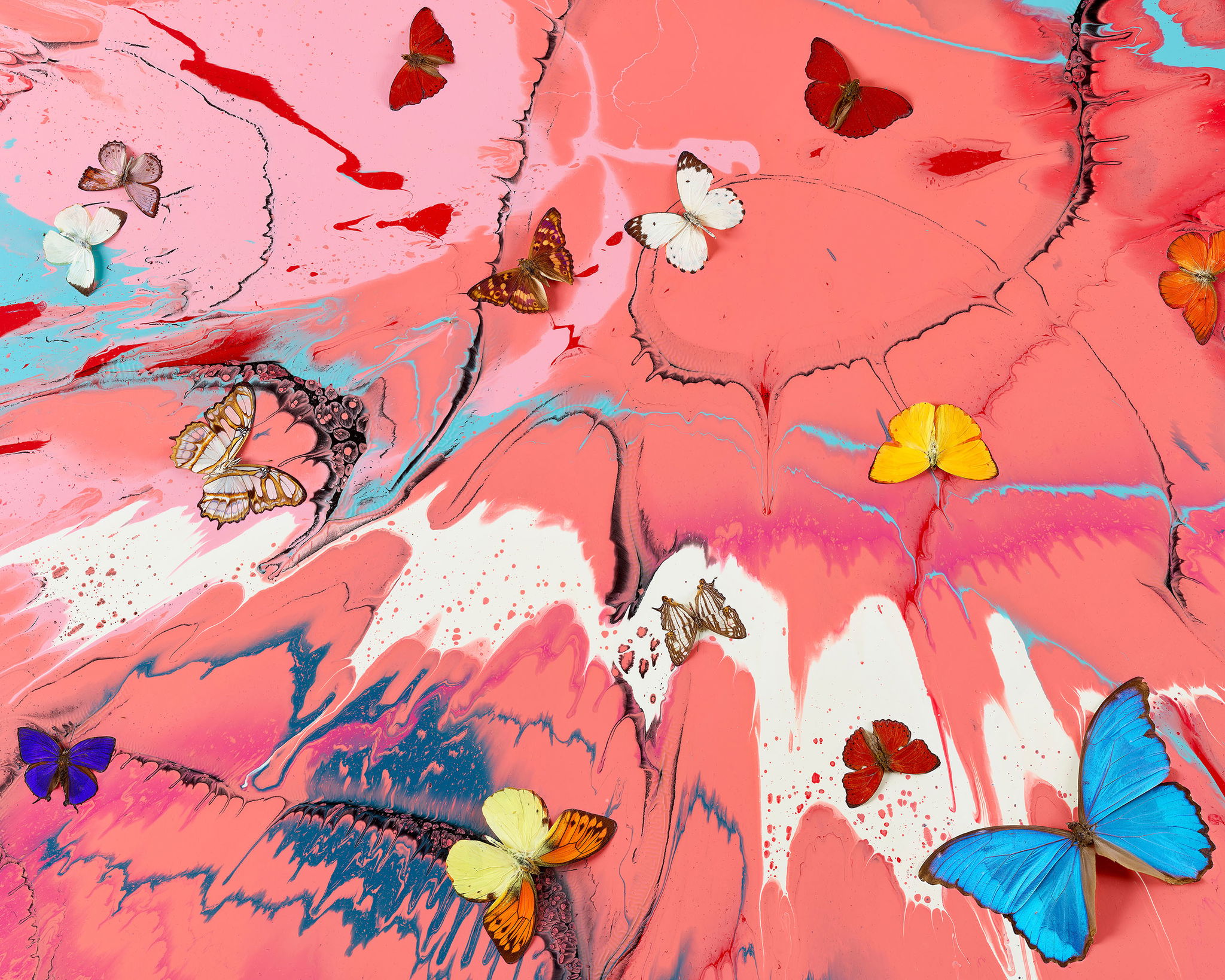 Angelic Seraph image #2