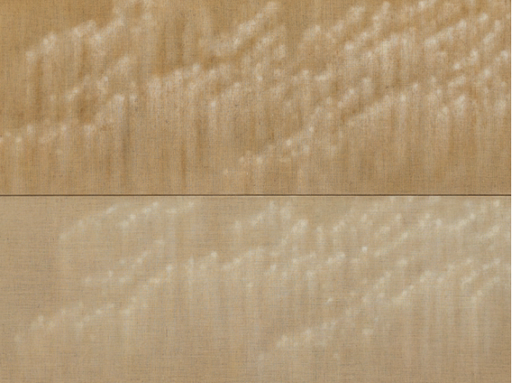 Liam Stevens: The Past Remembers You as Memory at Galeria Miquel Alzueta in Paris