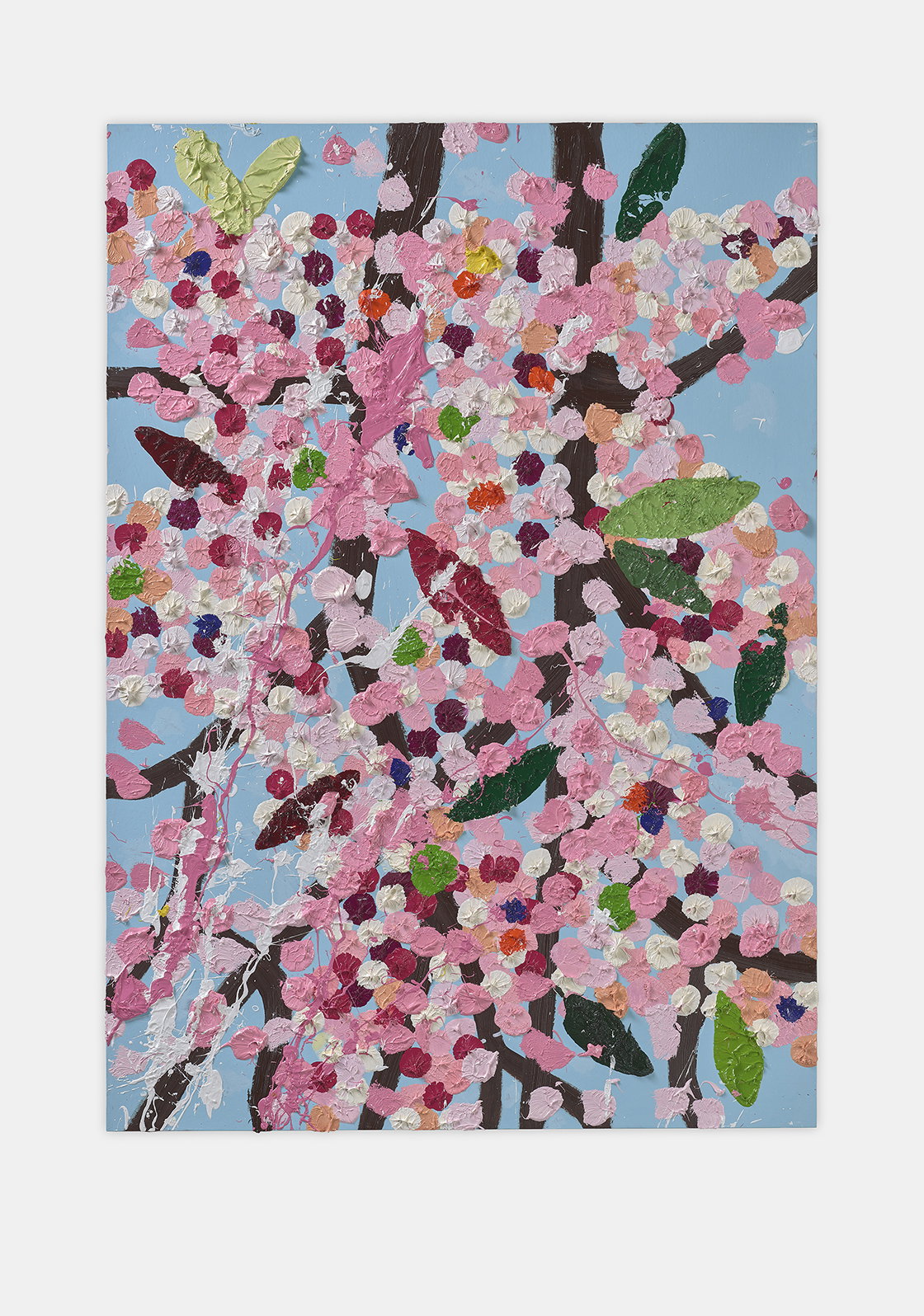 Admiring Blossom 1 main image