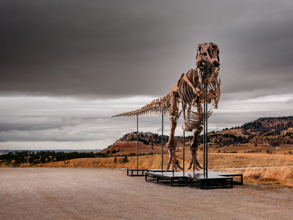 Tyrannosaurus Rex Work with $20m Estimate Heads to Auction