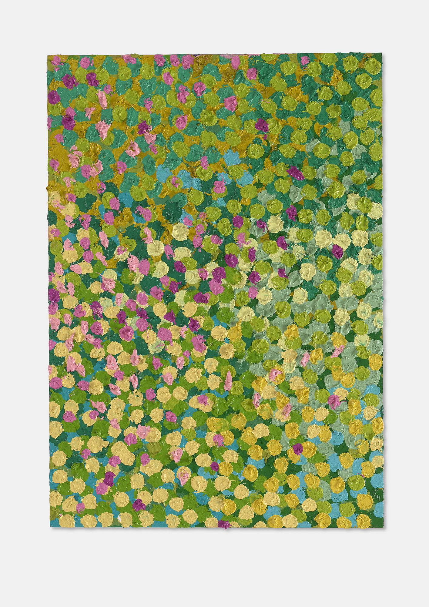 Celerious Veil 1 main image