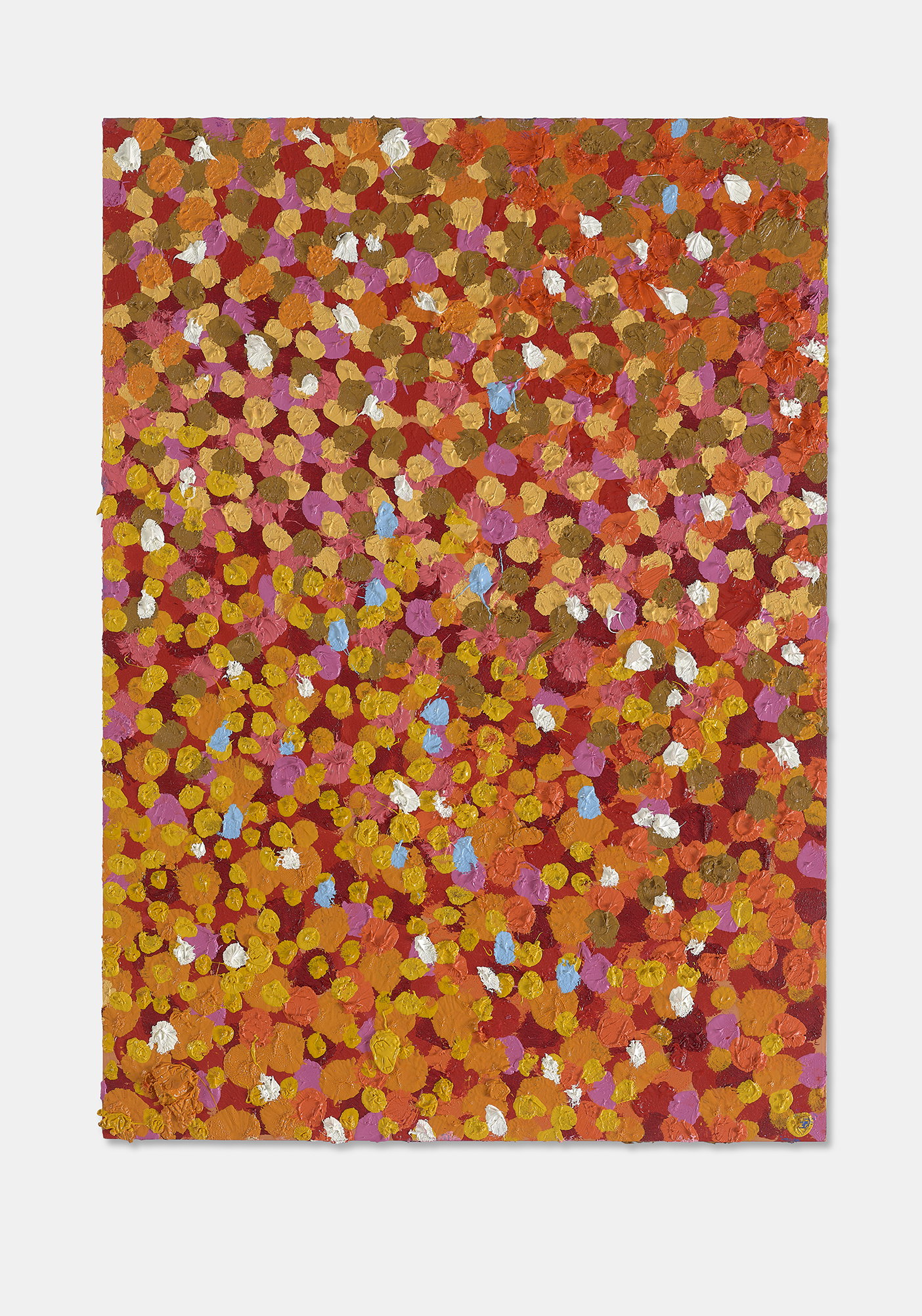 Rosy Veil 1 main image