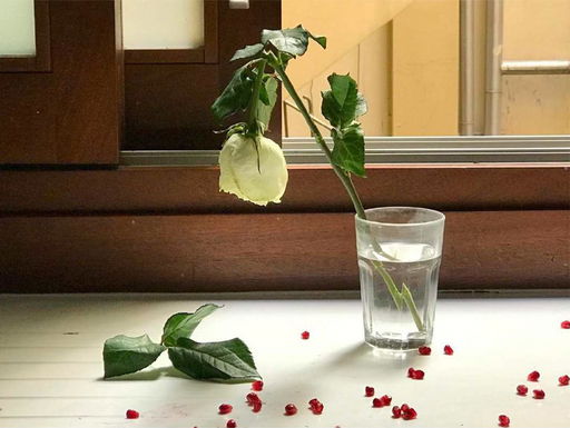 Vida Detenida: Pedro Almodóvar’s photography for the first time in Italy