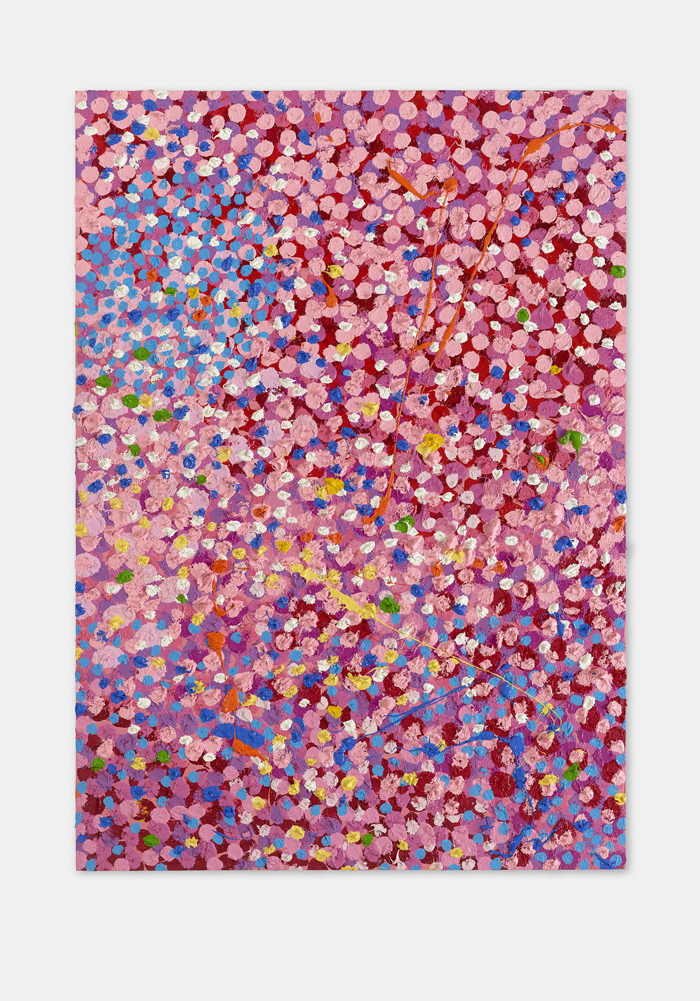 Attractive Veil 1 main image