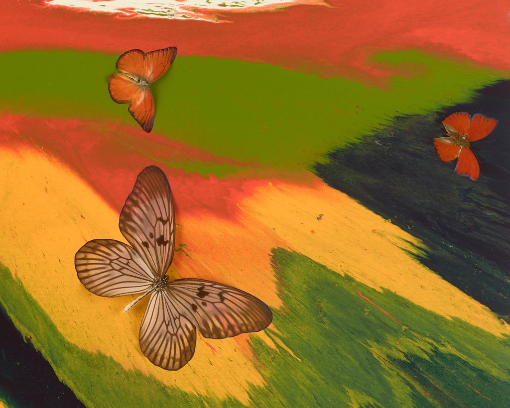 Beautiful Twin Flame Painting (with Butterflies) 4