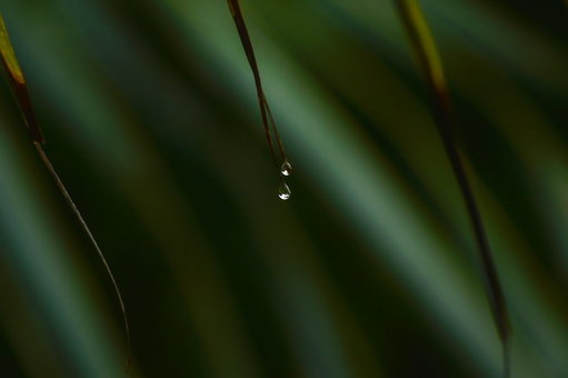 This photography exhibition in Hyderabad is an invitation to slow down and look closer