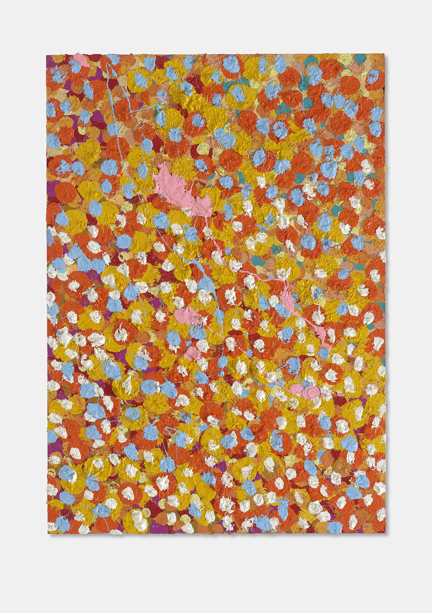 Expressive Veil 1 main image