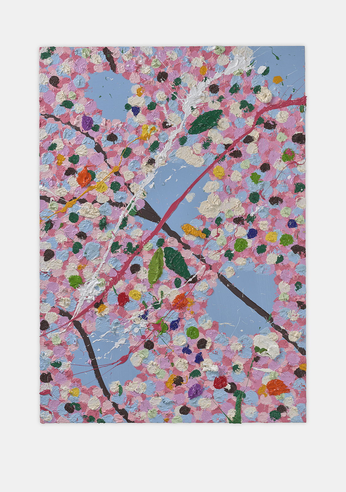 Sweet-pea Blossom 1 main image