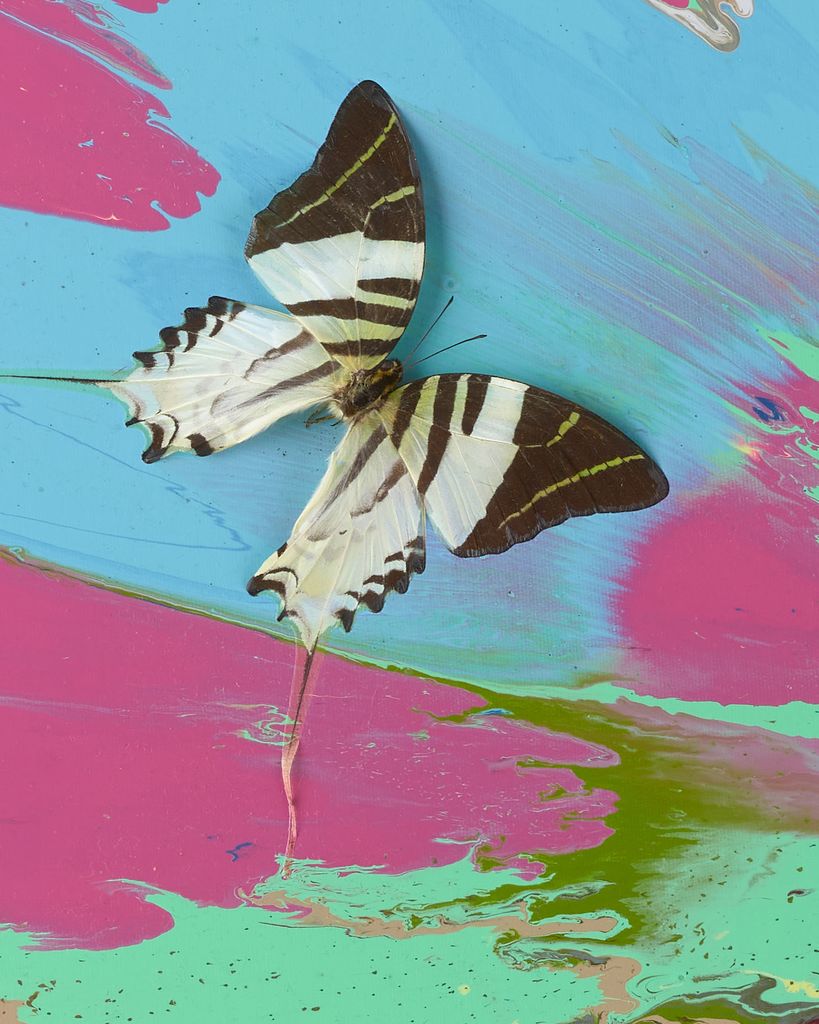 Beautiful Both Sublime and Shocking Painting (with Butterflies) 3